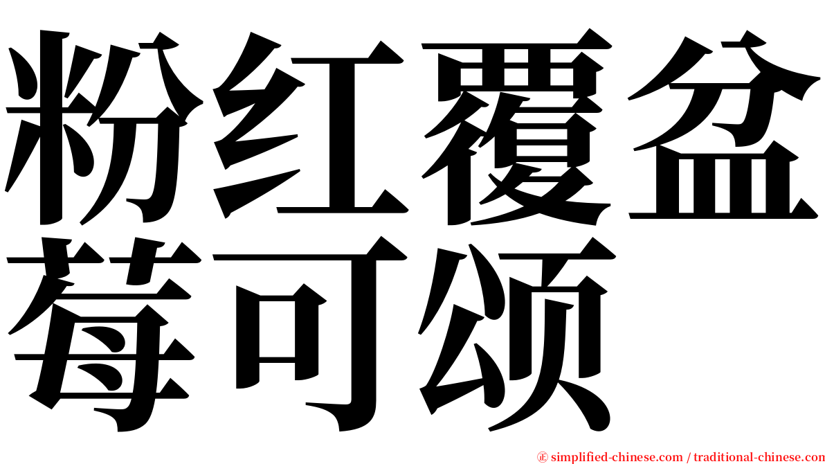 粉红覆盆莓可颂 serif font