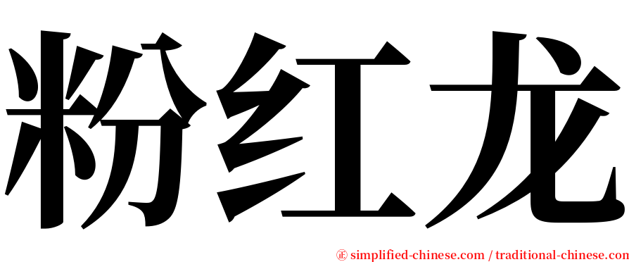 粉红龙 serif font