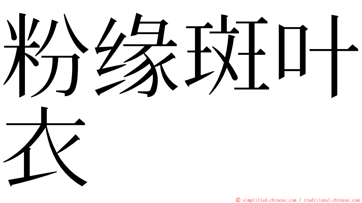 粉缘斑叶衣 ming font