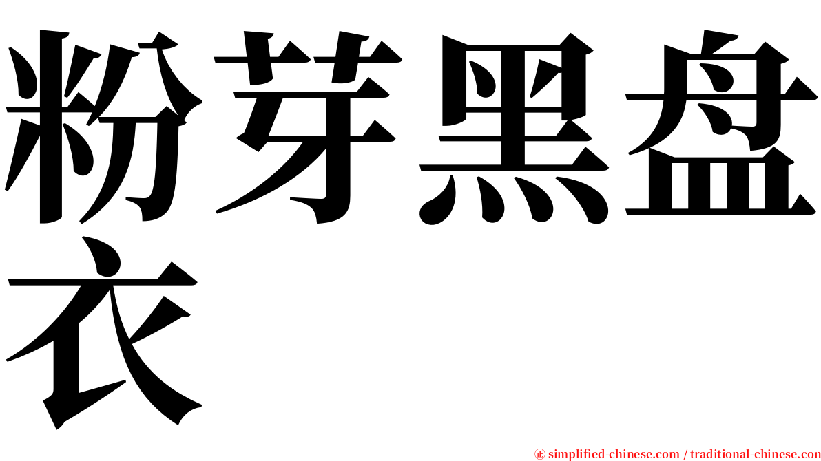 粉芽黑盘衣 serif font