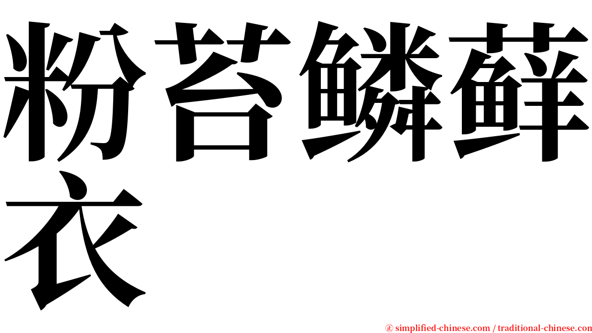 粉苔鳞藓衣 serif font