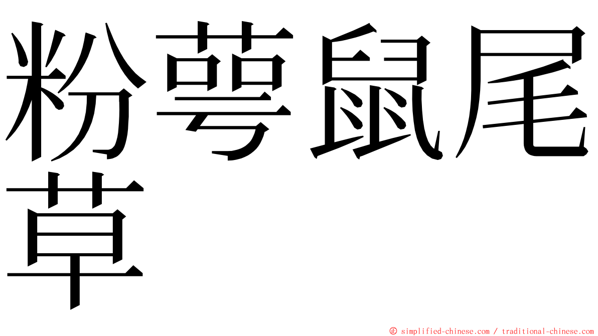 粉萼鼠尾草 ming font