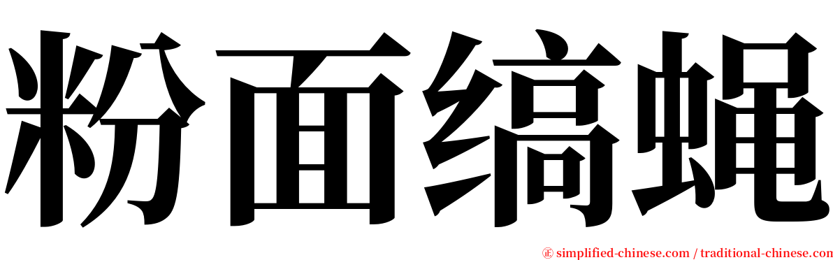 粉面缟蝇 serif font