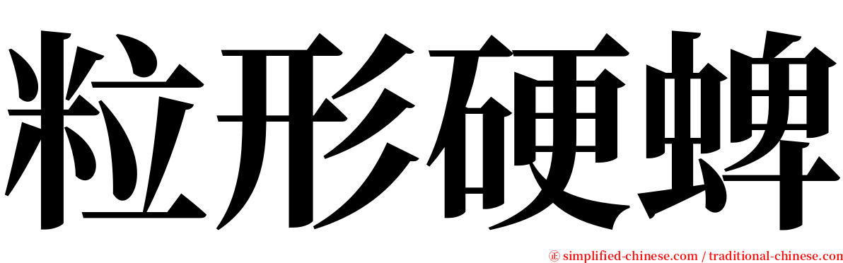 粒形硬蜱 serif font