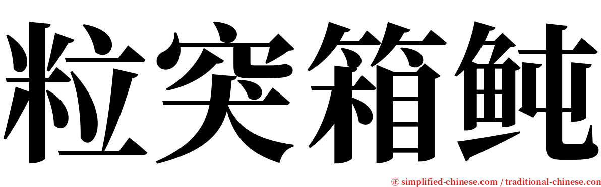 粒突箱鲀 serif font