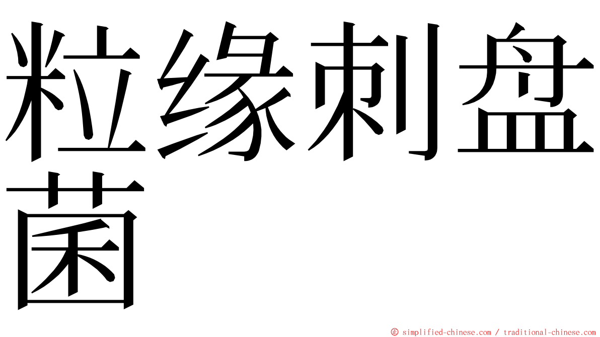 粒缘刺盘菌 ming font