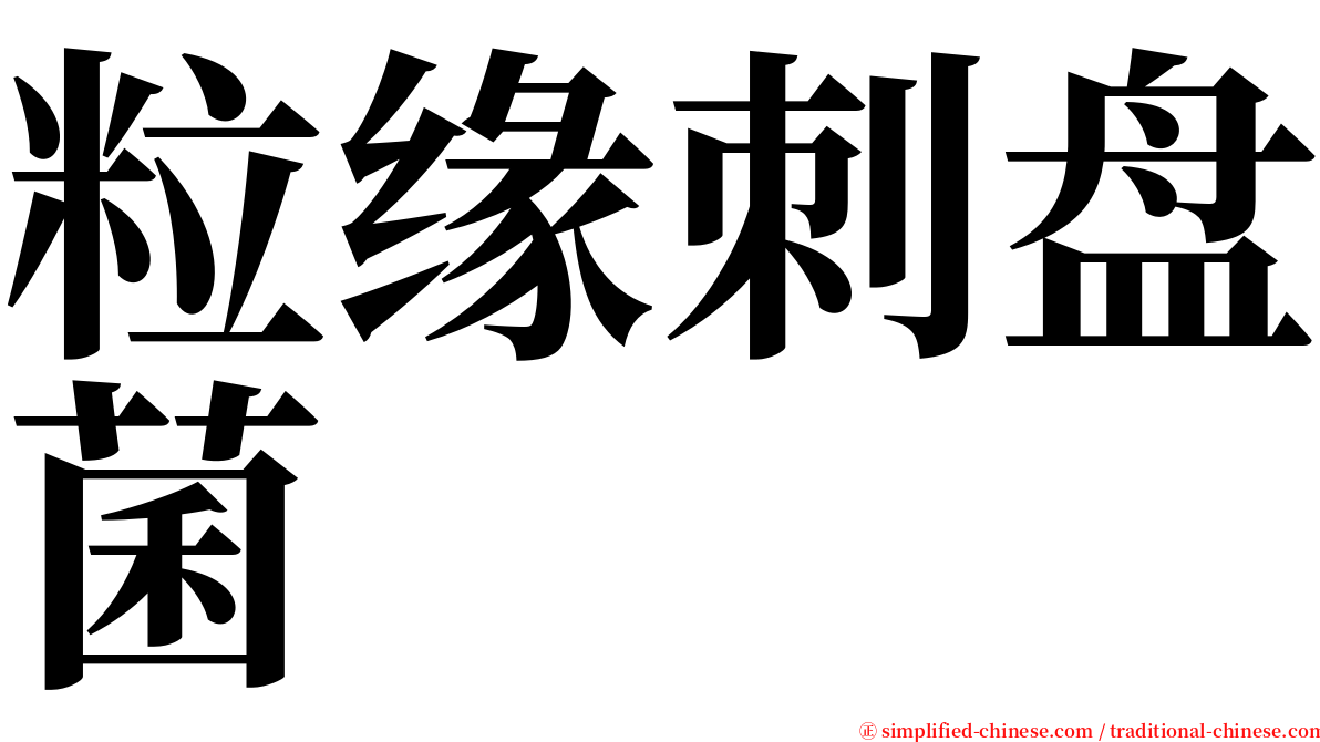 粒缘刺盘菌 serif font