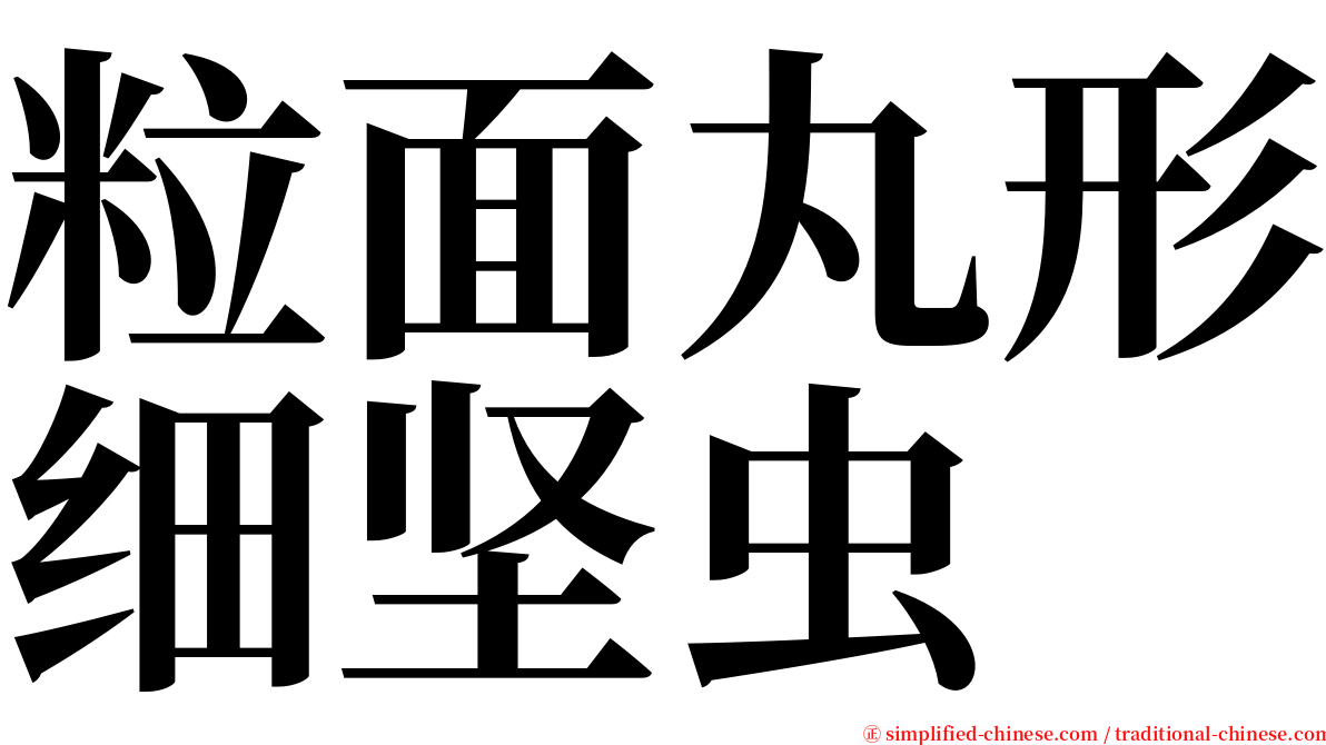 粒面丸形细坚虫 serif font