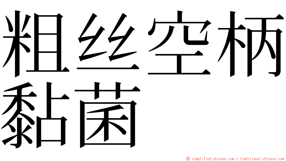 粗丝空柄黏菌 ming font