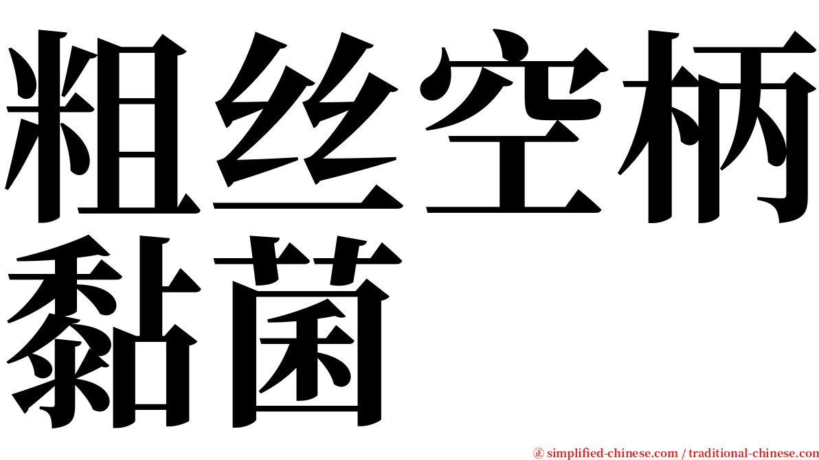 粗丝空柄黏菌 serif font