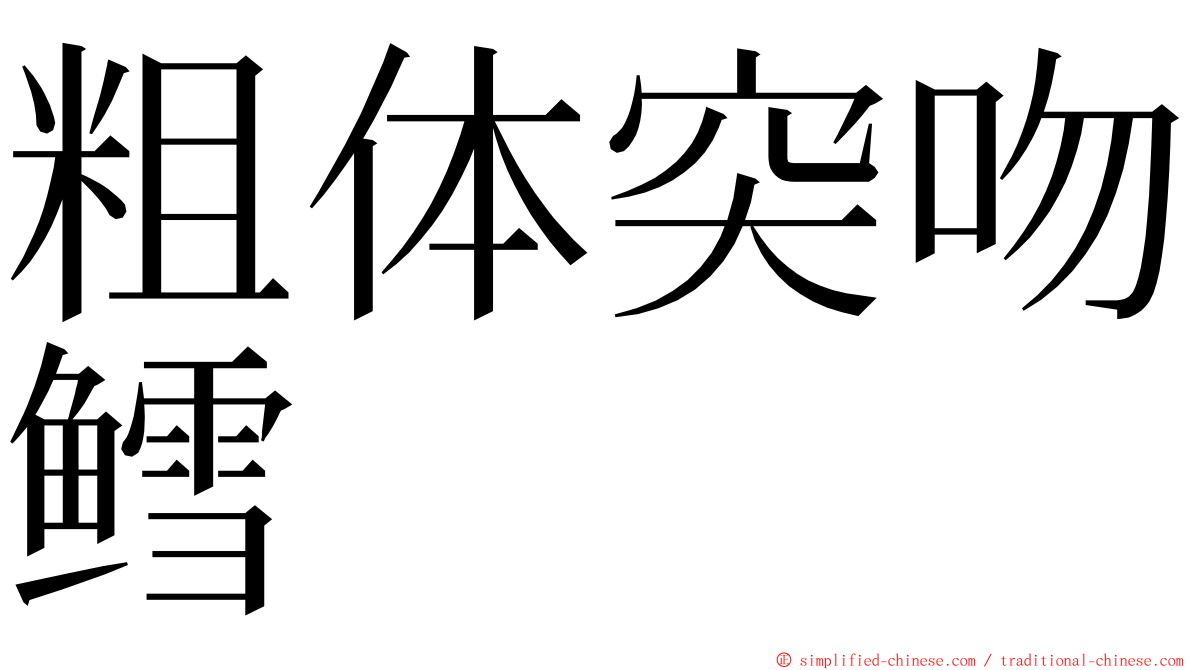 粗体突吻鳕 ming font