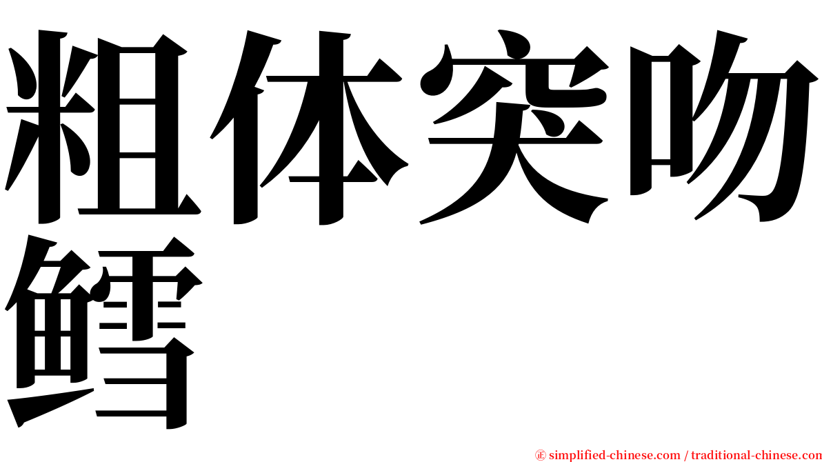 粗体突吻鳕 serif font