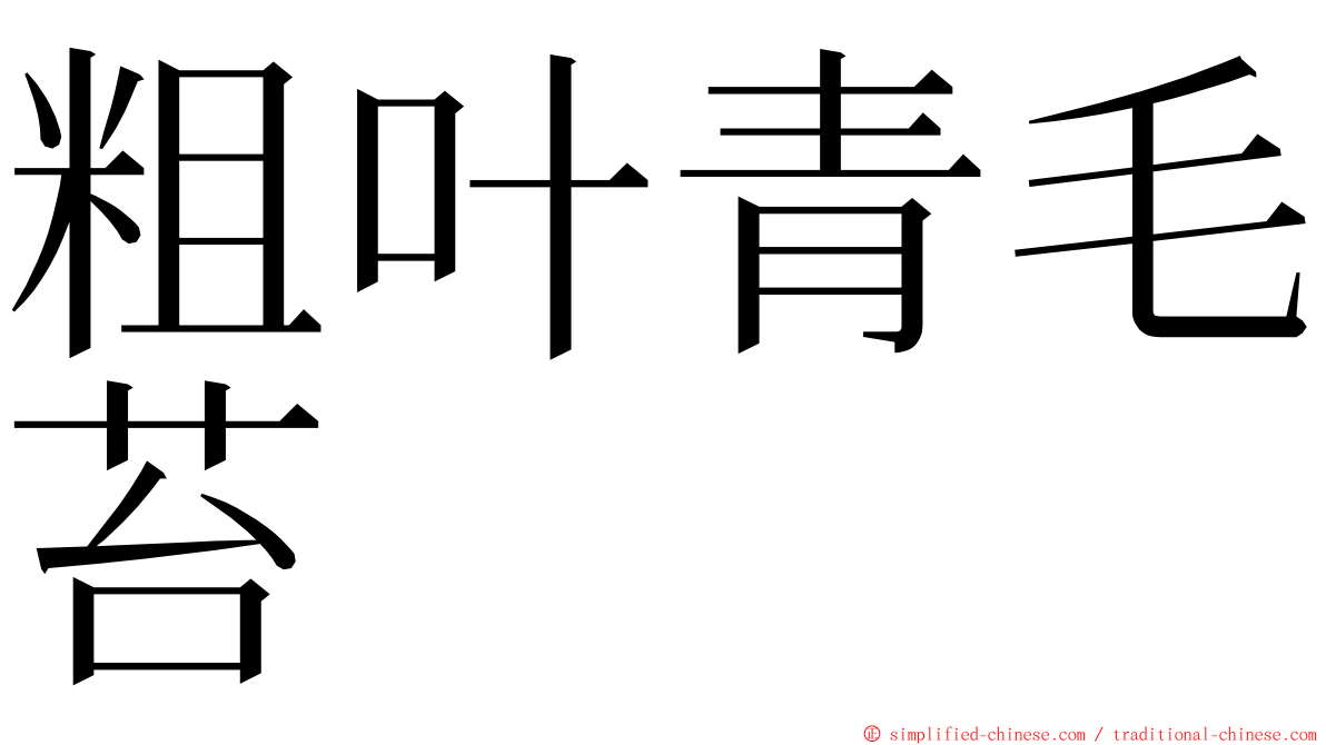 粗叶青毛苔 ming font