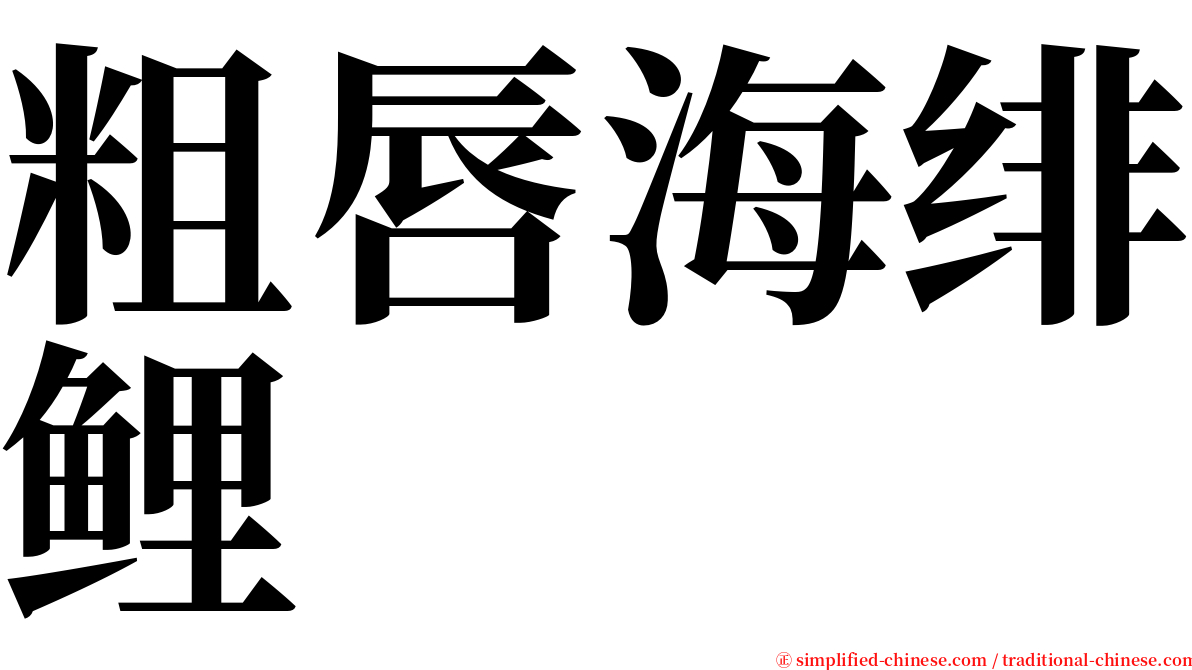 粗唇海绯鲤 serif font