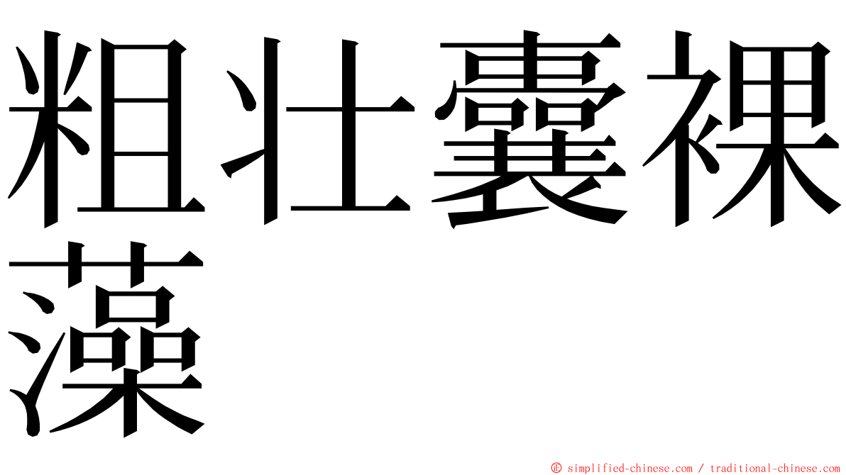 粗壮囊裸藻 ming font