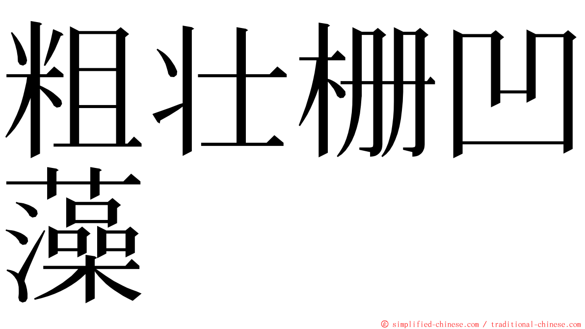 粗壮栅凹藻 ming font