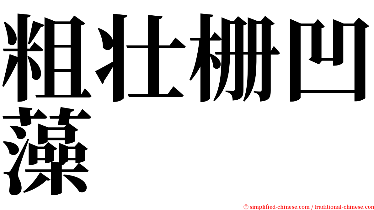 粗壮栅凹藻 serif font