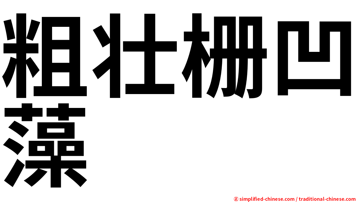 粗壮栅凹藻