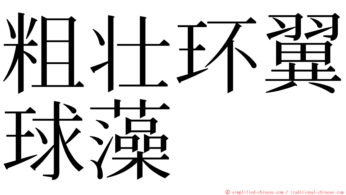 粗壮环翼球藻 ming font