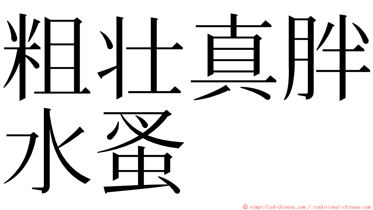 粗壮真胖水蚤 ming font