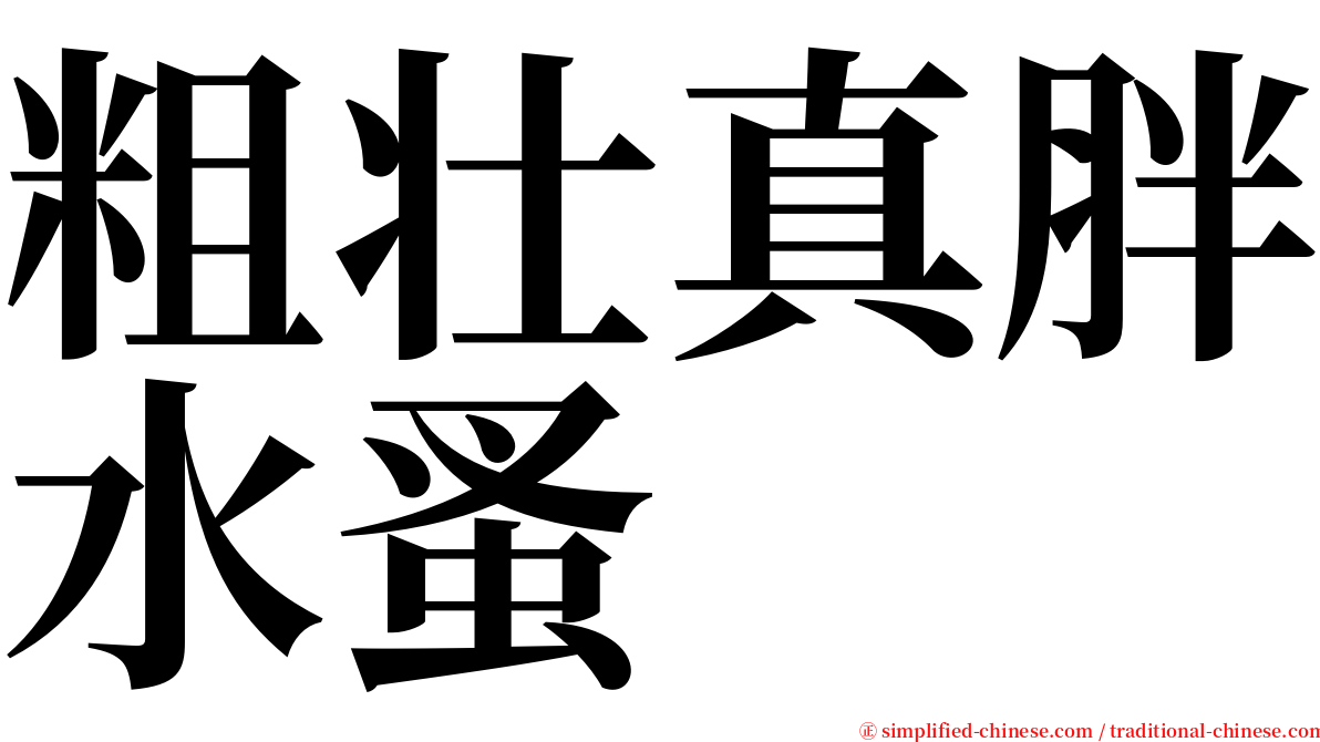 粗壮真胖水蚤 serif font