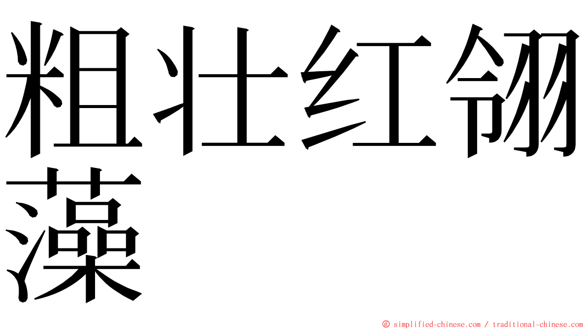 粗壮红翎藻 ming font