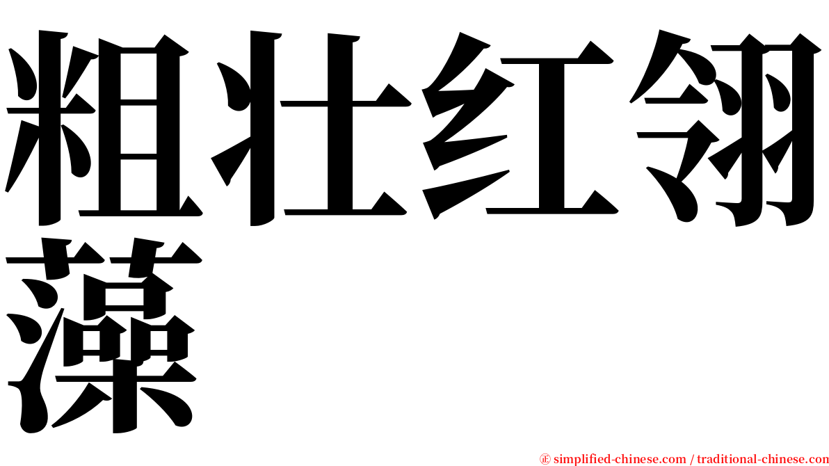 粗壮红翎藻 serif font