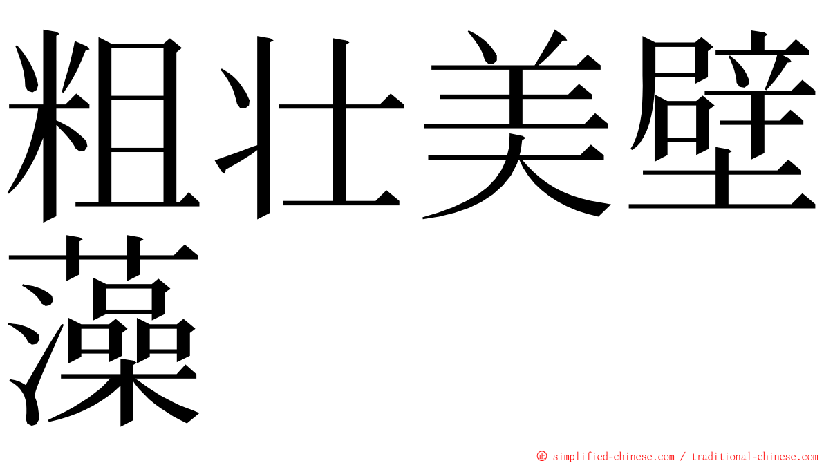 粗壮美壁藻 ming font