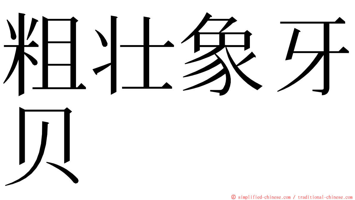 粗壮象牙贝 ming font