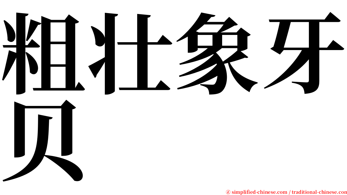 粗壮象牙贝 serif font