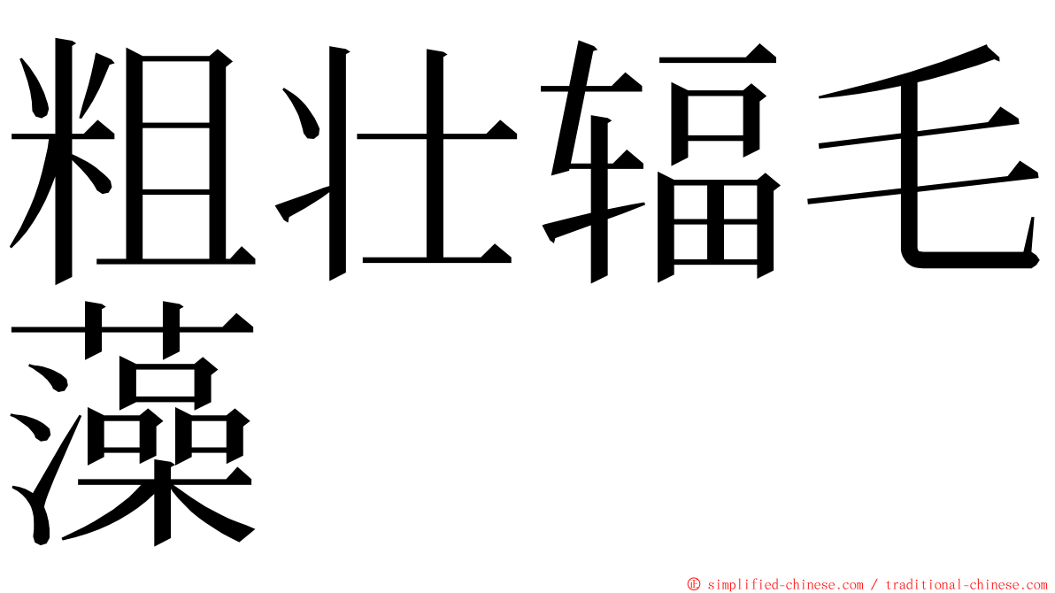 粗壮辐毛藻 ming font