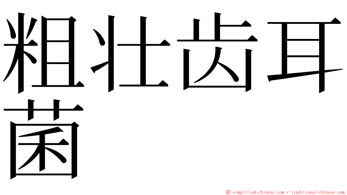 粗壮齿耳菌 ming font