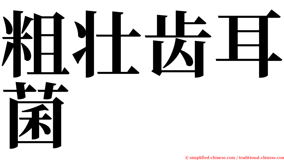 粗壮齿耳菌 serif font