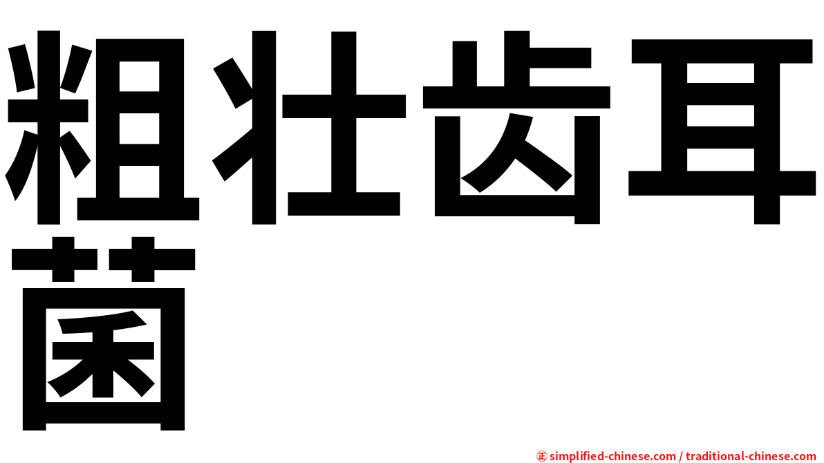 粗壮齿耳菌