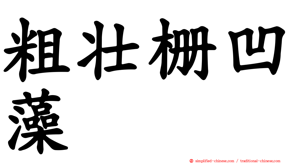 粗壮栅凹藻