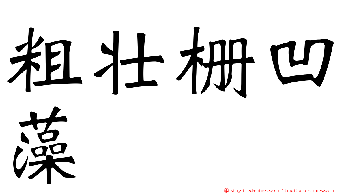粗壮栅凹藻