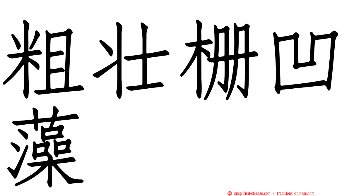 粗壮栅凹藻