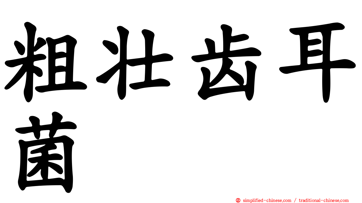 粗壮齿耳菌
