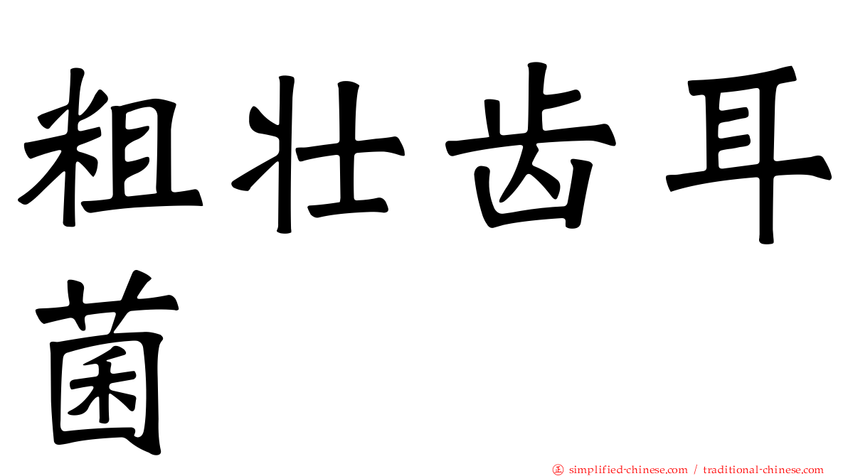 粗壮齿耳菌
