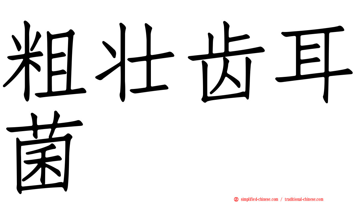 粗壮齿耳菌