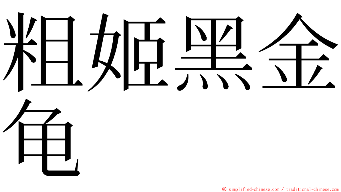 粗姬黑金龟 ming font