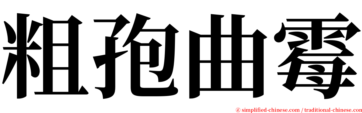 粗孢曲霉 serif font