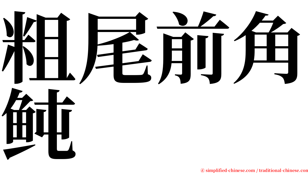 粗尾前角鲀 serif font