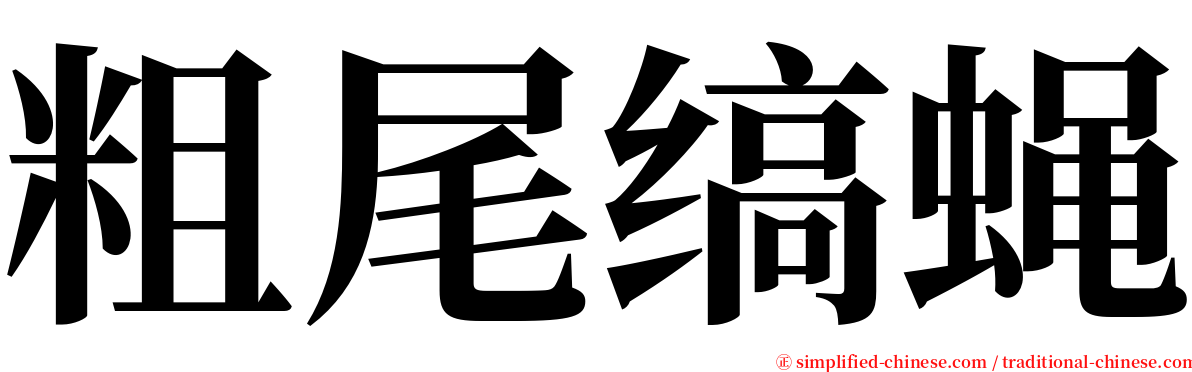 粗尾缟蝇 serif font