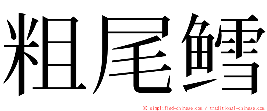 粗尾鳕 ming font