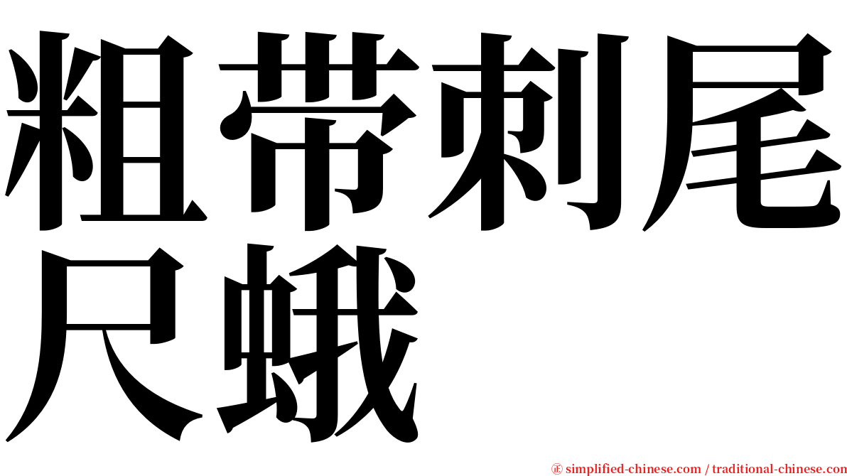 粗带刺尾尺蛾 serif font