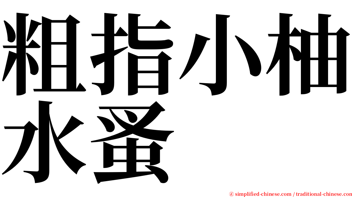 粗指小柚水蚤 serif font