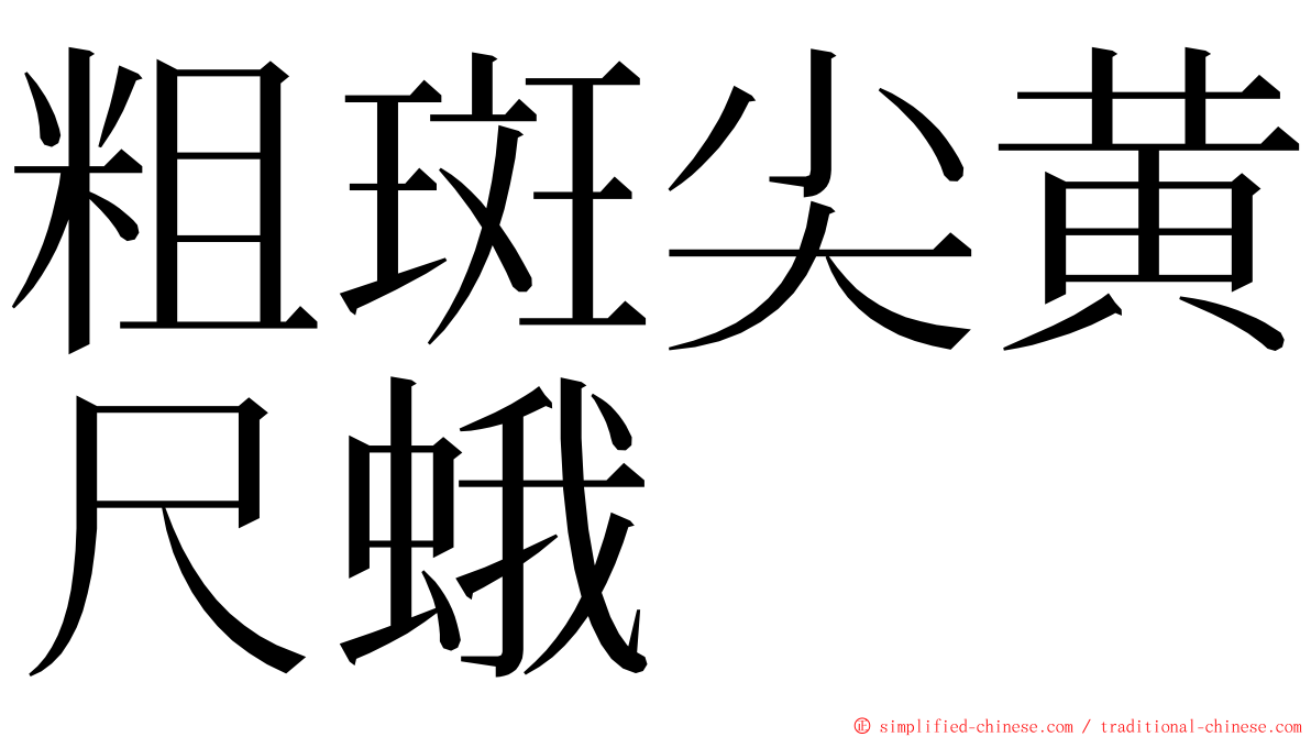 粗斑尖黄尺蛾 ming font