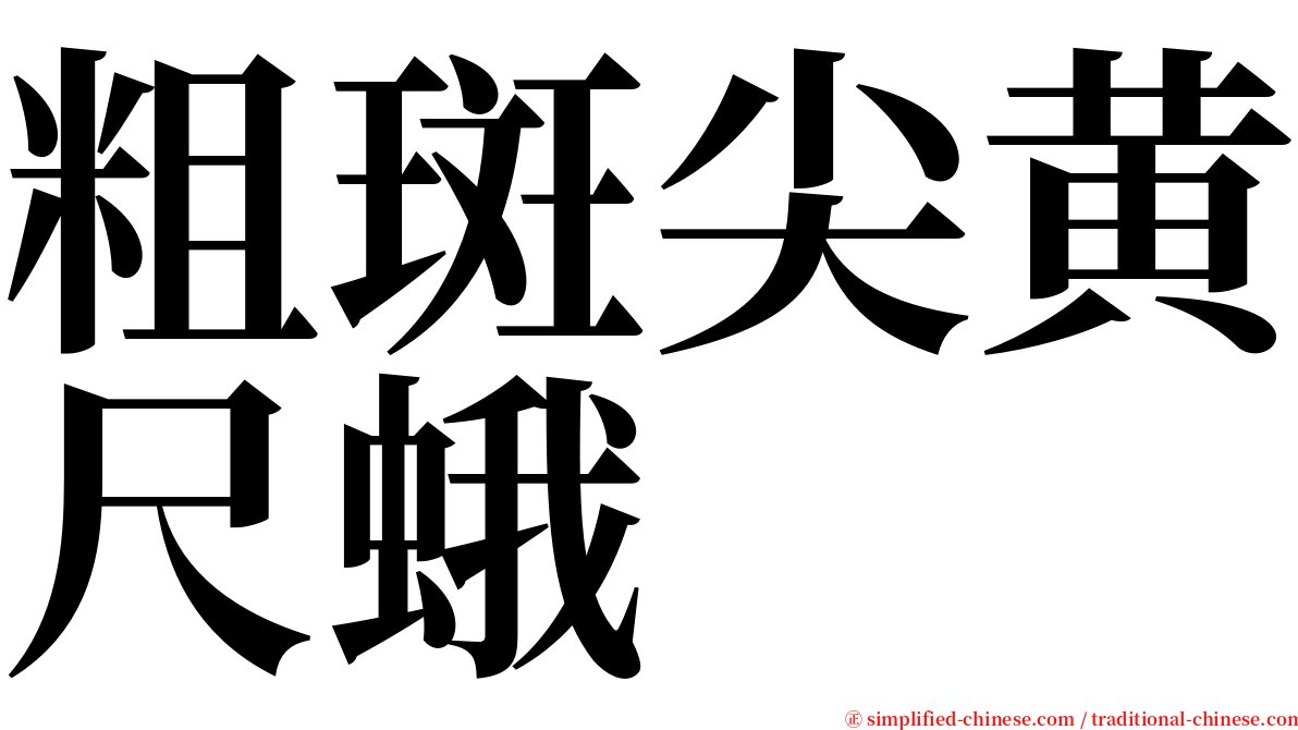 粗斑尖黄尺蛾 serif font