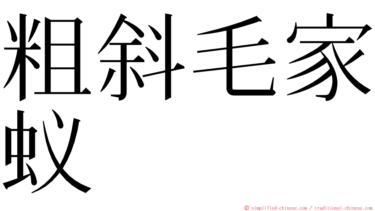 粗斜毛家蚁 ming font